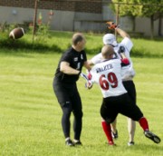 OTFL Gallery Image